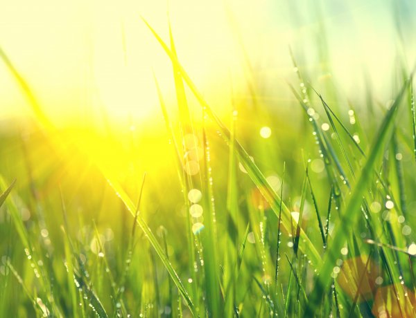 Továbbra is marad a hőség, mutatjuk, hány fok lesz ma