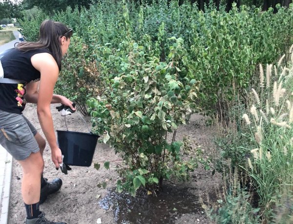 Aszály a városban: ragadj vödröt és segíts!