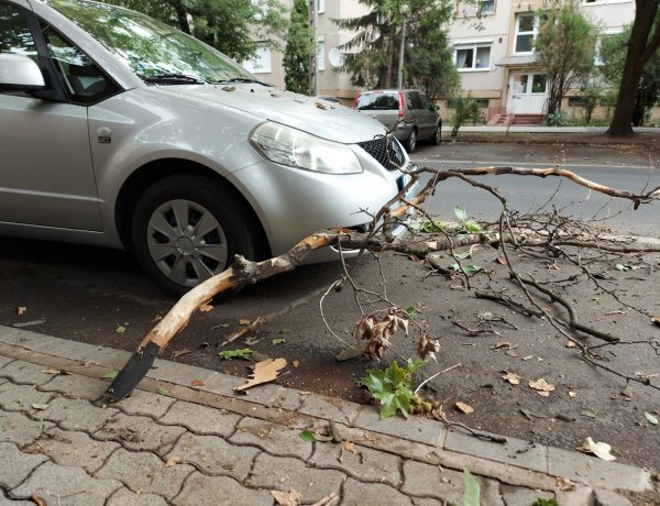 Az erős szél letört egy faágat, ami ráesett egy parkoló autóra a Vasvári Pál utcán