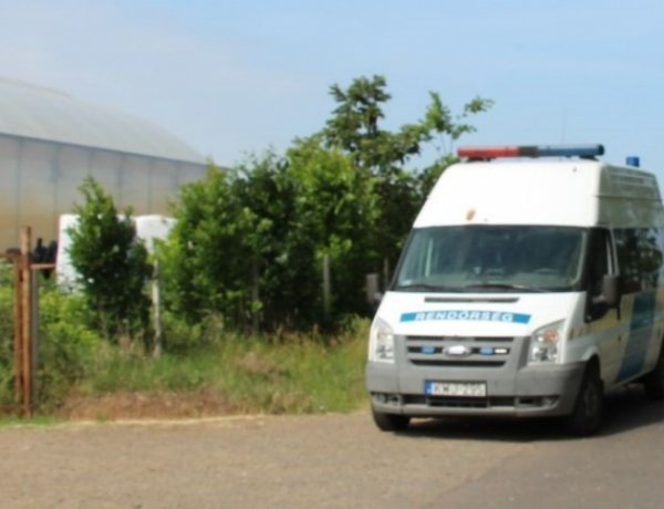 Rendőrkézen a bűntársak is