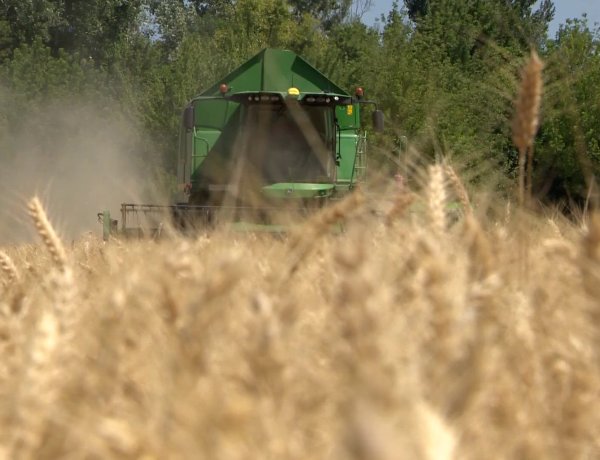 Segítség a gazdáknak – Történelmi szárazsággal néz szembe Magyarország