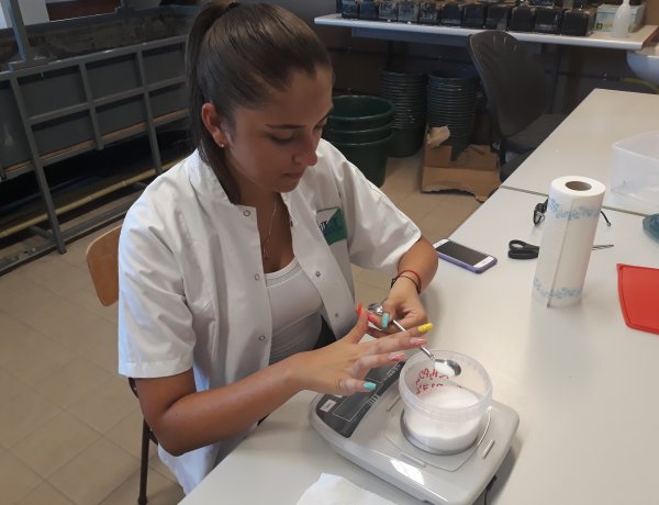 Kutatnak, kísérleteznek a Nyári Egyetemen