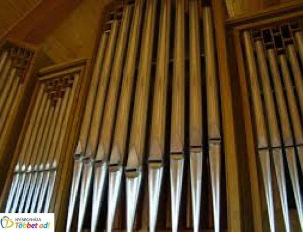 Orgonák éjszakája. Bach és Strauss a szökőkútnál