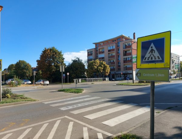 Az úttesten haladt át kutyasétáltató hölgy, amikor egy gépkocsi nekiment az állatnak az Arany János utcán