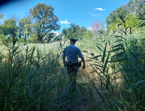 Tóból mentettek ki egy öngyilkosságra elszánt férfit a tiszavasvári rendőrök