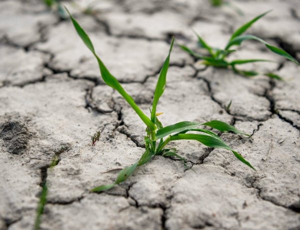 Éjfélkor életbe lépett a legmagasabb fokú hőségriasztás