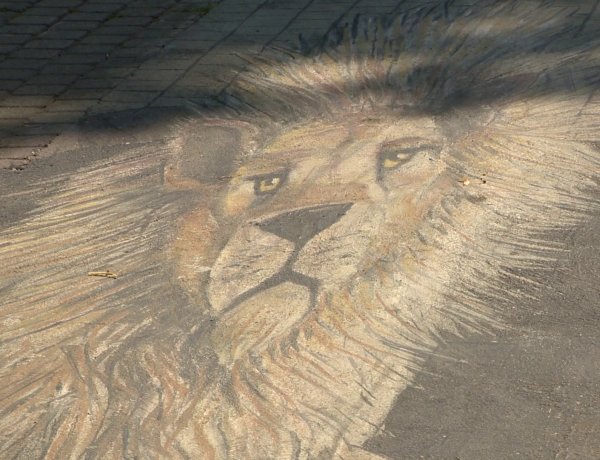 3D-s aszfaltfestés Sóstón