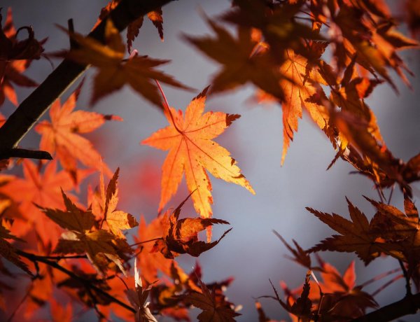 Morcos, esős idővel köszönt be az ősz