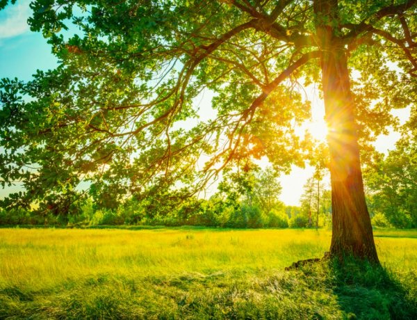 Jön a felmelegedés a jövő héten, de az esernyőkre azért még szükség lehet