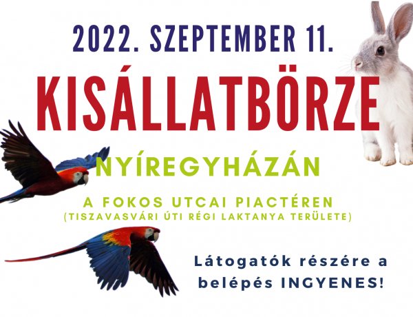 Minden hónap második vasárnapján kisállatbörze várja az érdeklődőket Nyíregyházán