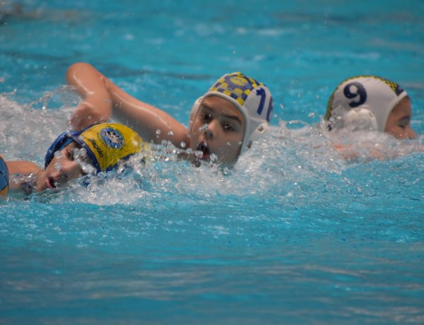 Megkezdték a felkészülést a vízilabdások 