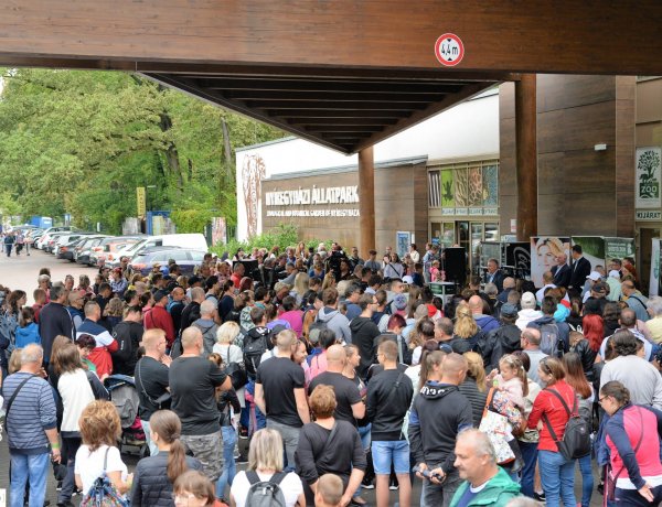 Pihentek a segítő szakmák dolgozói – Családi napot szervezett az Élet Forrása Egyesület