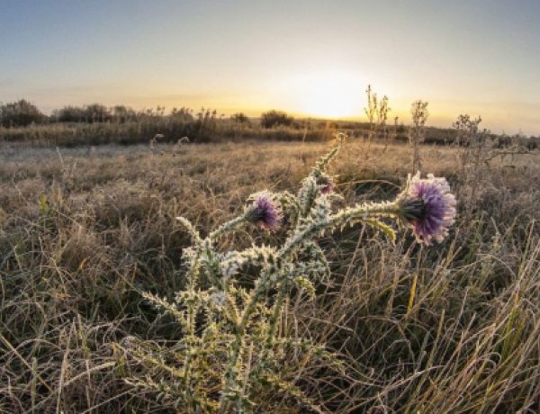 Jövő héten már előfordulhatnak talajmenti fagyok, mutatjuk, pontosan hol