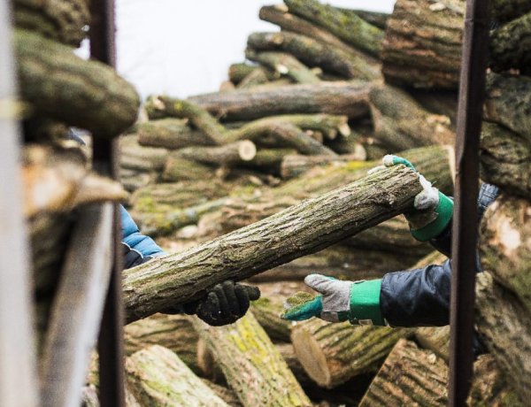 Elindul a hatósági áras tűzifa program