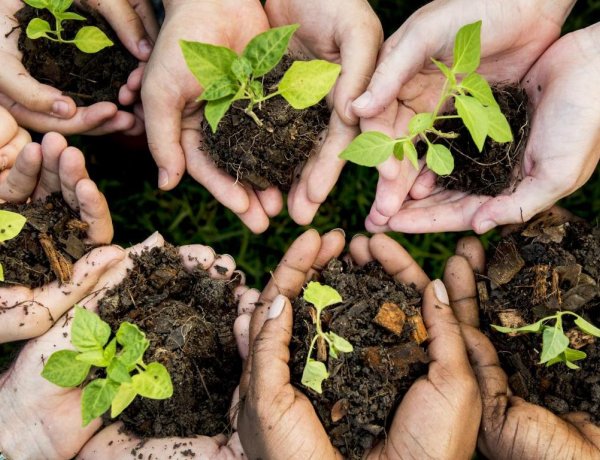 Agrárminisztérium: a természet megóvása kiemelt feladat