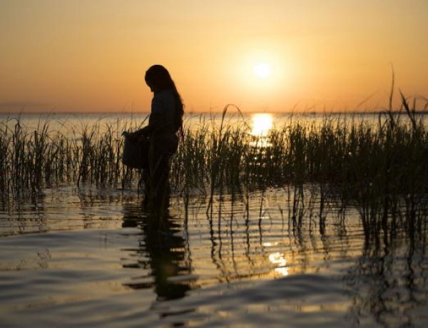 Október havi műsorterv a Krúdy Moziban – Ahol a folyami rákok énekelnek újra műsoron