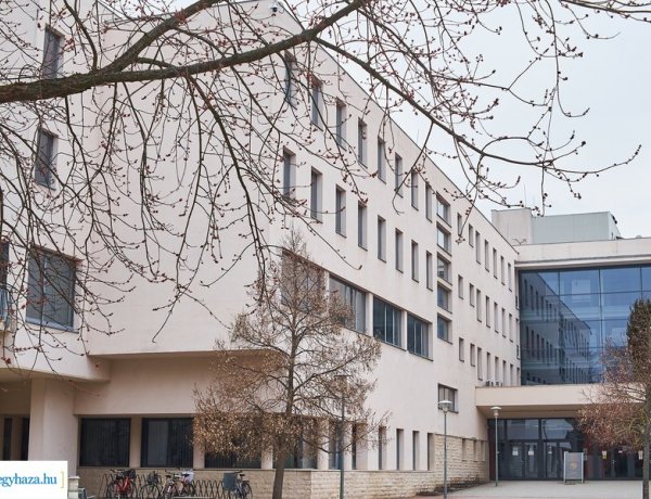 Kutatók Éjszakája – A Debreceni Egyetem Egészségtudományi Kara és a Nyíregyházi Egyetem is programot kínál a hétvégi tudományos napokra