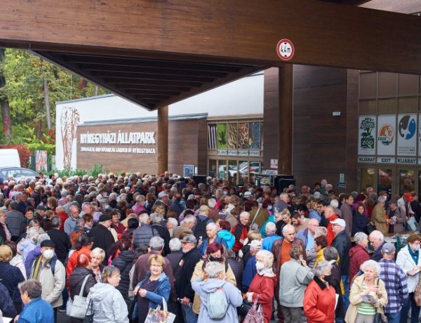 Idősek Világnapja – Idén is állatparki sétával várja az önkormányzat a nyíregyházi nyugdíjasokat