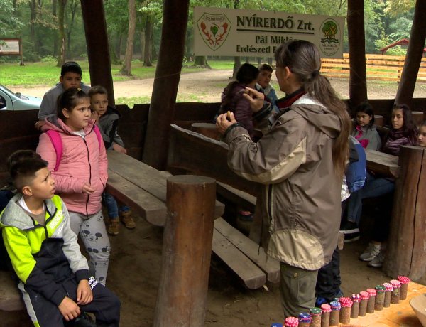 Aktívan az osztállyal program – Természetközeli élményeket szerveznek a diákoknak
