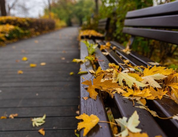 Utolsó harcát vívja a nyár az ősszel