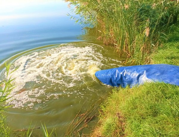 Haltelepítés a Bujtoson