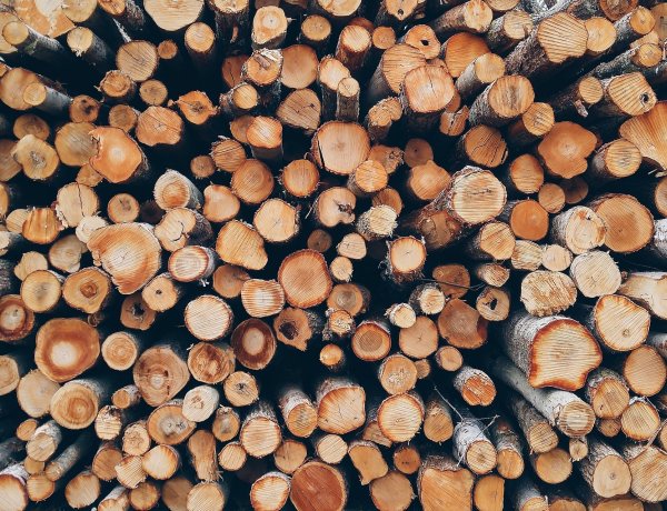 Zavartalanul működik a hazai tűzifaprogram – Mindenki hozzá fog jutni az igényelt mennyiséghez