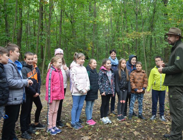 NYÍRERDŐ Nap és tanösvénytúra a Sóstói-erdőben