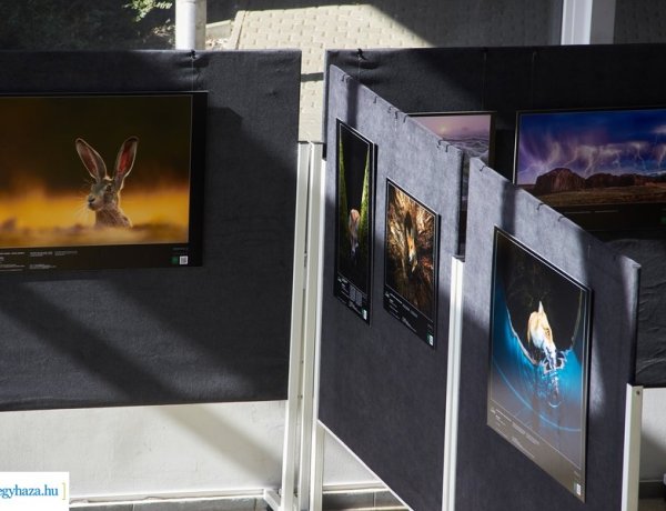 Az év természetfotósa – Kiállítás a Váci Mihály Kulturális Központban