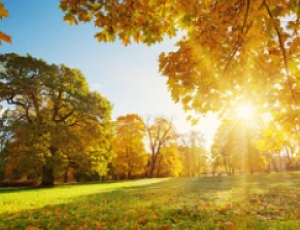 Ma is ránk köszönnek az őszi nap napsugarai, érdemes lesz kiélvezni