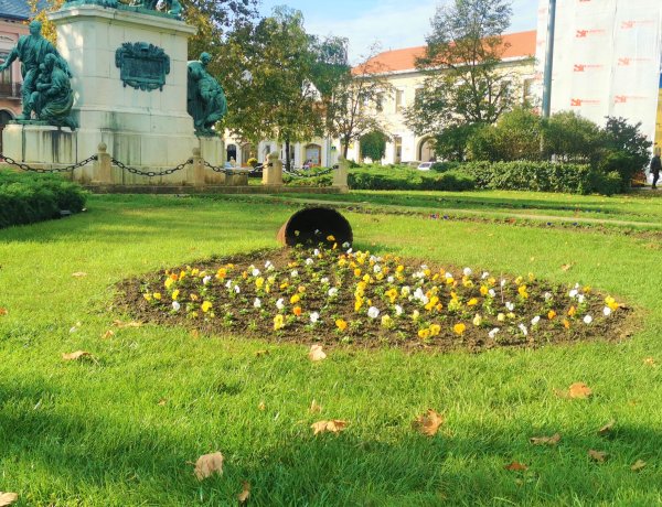 Nyíregyháza ősszel is virágos!