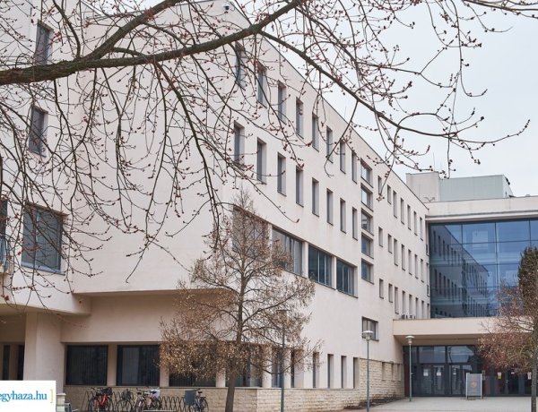 Keresztfélév az egyetemen – Szociálpedagógia- és pilótaképzés 