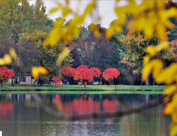Őszi séta Sóstón - Gyönyörű képek Trifonov Évától