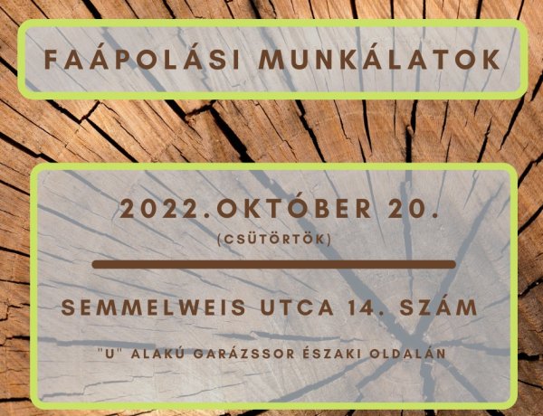 Faápolási munkálatokat végeznek a NYÍRVV munkatársai csütörtökön, a Semmelweis utcán