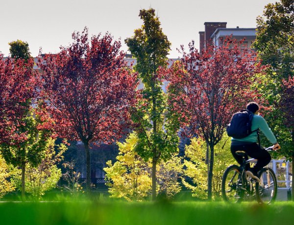 Mutatjuk, az ország mely vidékein nőtt leginkább az indián nyári napok száma
