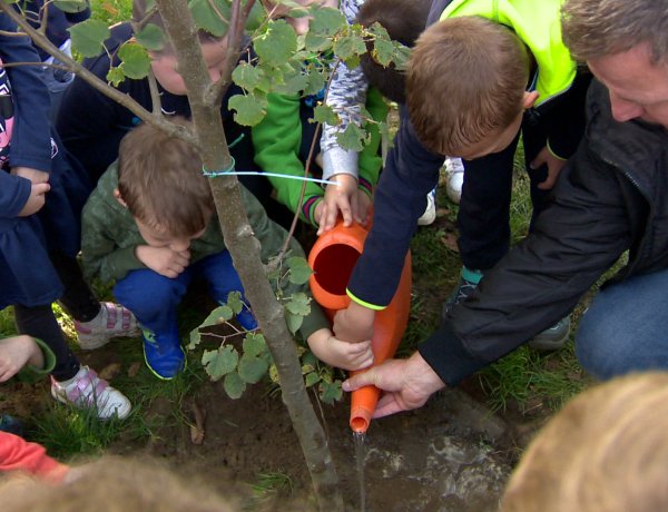 Faültetés Örökösföldön – Az óvodások is segítették a polgárőr egyesület munkáját