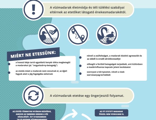 Lakossági felhívás – Ne etessük a vízimadarakat!