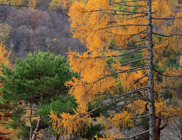 Hűvösebbre vált az ősz, mutatjuk a mai csúcshőmérsékletet