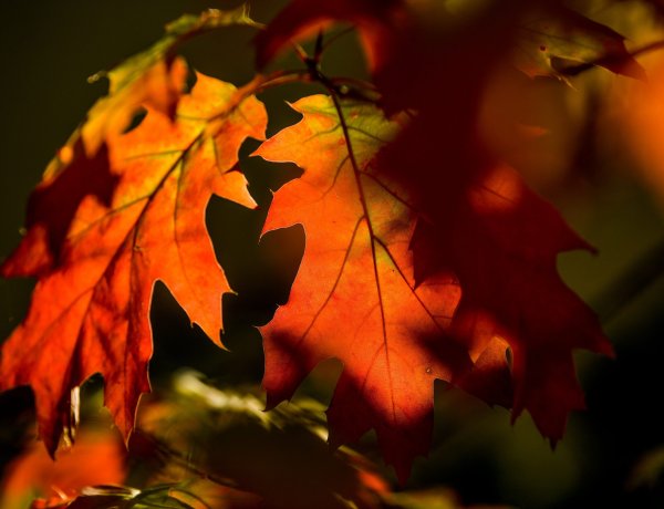 Zivatarokkal és széllel érkezik a front, mutatjuk, hol szakadhat le az ég