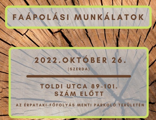 Faápolási munkálatokat végez szerdán a NYÍRVV az Érkerti-főfolyás menti parkoló területén