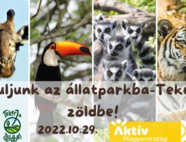 Bringával az állatparkba!