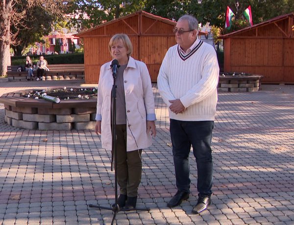 Zöld konzultációt indított az LMP