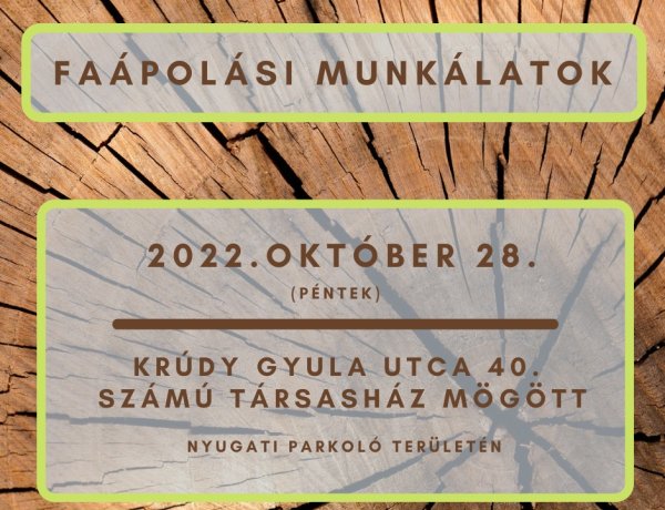 Faápolási munkálatokat végeznek pénteken a NYÍRVV munkatársai a Krúdy Gyula utcán