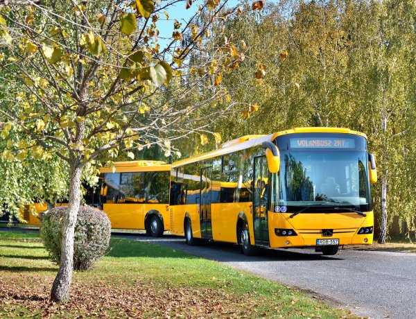 A több mint tízezer buszvezetőből mindössze 377-en sztrájkoltak