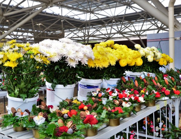 Szeretteinkre emlékezve: látogatói tömeg a temetőkben, több ezernyi krizantém a piacokon