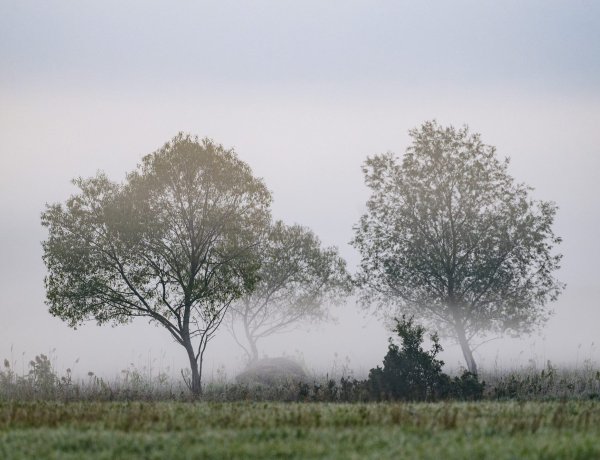 Borús, esős idővel folytatódik a hosszú hétvége
