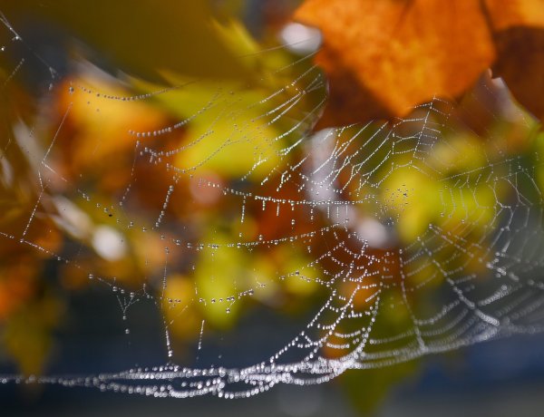 Vége a szürkeségnek, több órára is kisüthet a nap