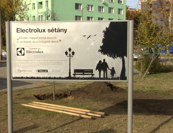 Faültetés az Electrolux sétányon és a kórház környékén