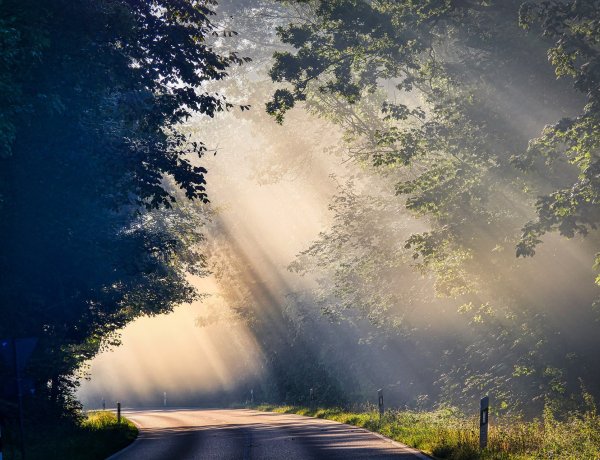 Makacs lesz a köd, csak keleten láthatjuk a Napot