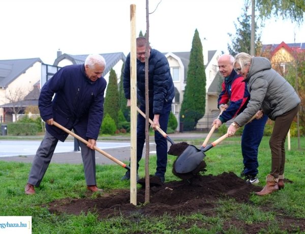Faültetés a Törpe utcán – 42 facsemetét ajánlott fel a Vállalkozók Nyíregyházáért Egyesület