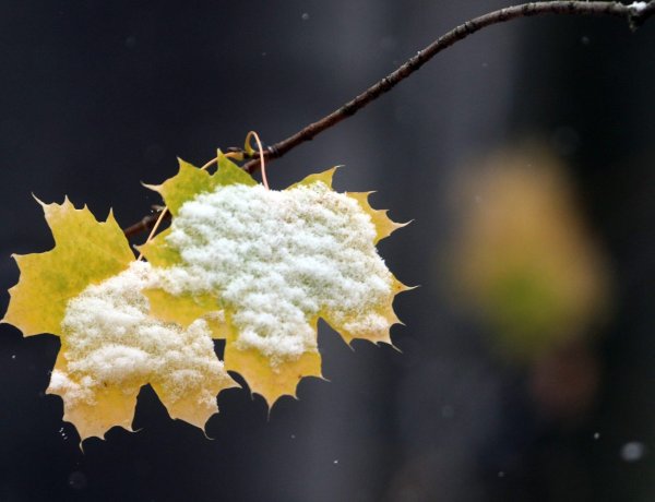 Mutatjuk, hol érkezhet az első havazás